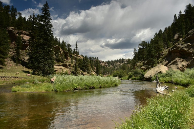 스위스 알프스.jpg