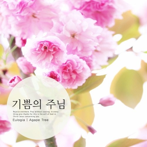 기쁨의 주님.jpg