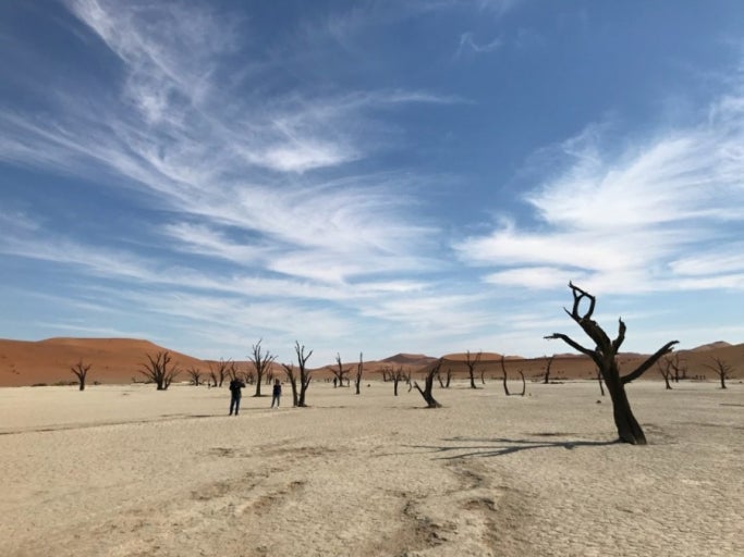 빛나는 성벽.jpg