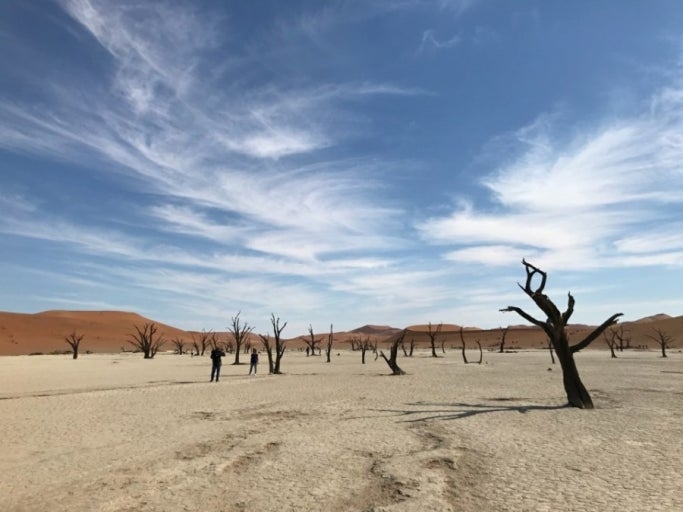 빛나는 성벽.jpg