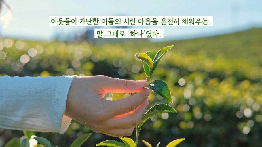 로세토효과.jpg